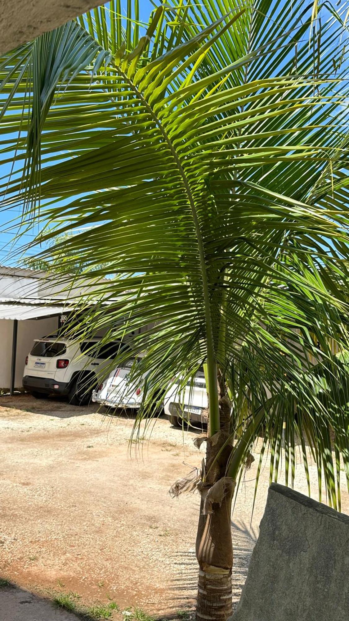 Pousada Caminho Das Cachoeiras Pirenópolis מראה חיצוני תמונה